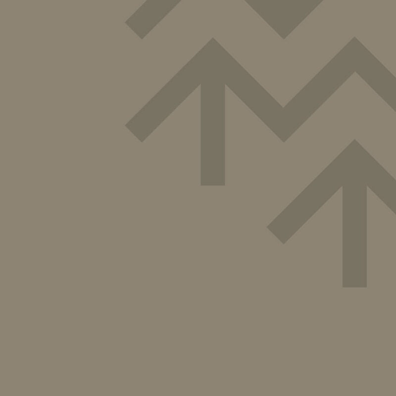 Dare To Be Different Quad luifel 2,5m x 2m alleen cassette zonder stof